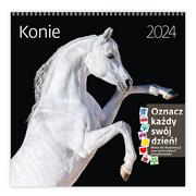 Kalendarze - Kalendarz 2024 30x30 Konie HELMA - miniaturka - grafika 1