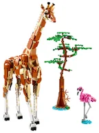 Klocki - LEGO LEGOÂ Creator: Safari - 9+ - miniaturka - grafika 1