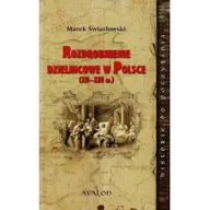 Historia Polski - Avalon Rozdrobnienie dzielnicowe w Polsce XII-XIII w. - Marek Światłowski - miniaturka - grafika 1