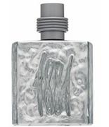 Wody i perfumy męskie - Cerruti 1881 Silver woda toaletowa 100ml - miniaturka - grafika 1