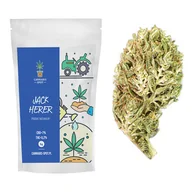 Suplementy naturalne - Jack Herer Susz Konopny CBD <7% 5g - miniaturka - grafika 1