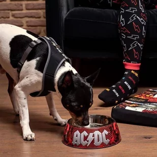 Disney Miska AC/DC rozm S miska dla psa - Miski dla psów - miniaturka - grafika 1
