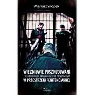 Technika - Impuls Więźniowie poszkodowani Psychospołeczne funkcjonowanie osób zdegradowanych w przestrzeni penitencjarnej Mariusz Snopek - miniaturka - grafika 1