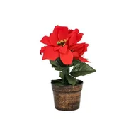 Ozdoby bożonarodzeniowe - Poinsecja w osłonce czerwona 24 cm - miniaturka - grafika 1