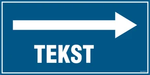 ZNAK NA ZAMÓWIENIE WZÓR D-012, TS - PŁYTA TD FOTOLUMINESCENCYJNA; (300X150MM) - Systemy ekspozycyjne i znaki informacyjne - miniaturka - grafika 1
