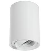 Lampy sufitowe - Masterled Valse lampa sufitowa tuba kierunkowa biała 1124lv - miniaturka - grafika 1
