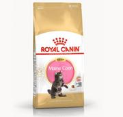 Sucha karma dla kotów - Royal Canin Kitten Maine Coon 2 kg - miniaturka - grafika 1