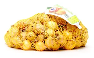 Cebula dymka Senshyu Yellow odmiana ozima 500 g - Nasiona i cebule - miniaturka - grafika 1