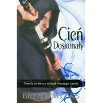 Cień doskonały - Fantasy - miniaturka - grafika 1