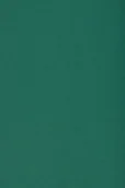 Dekoratorstwo - Papier brystol kolorowy 250g c zielony A3 10ark - miniaturka - grafika 1