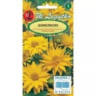 Nasiona i cebule - Słoneczniczek Heliopsis 0,5 G - miniaturka - grafika 1