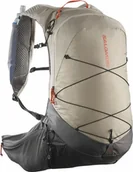 Plecaki - Plecak turystyczny Salomon Xt 20 Set Feather Coloured - miniaturka - grafika 1