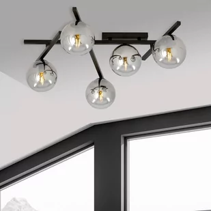 Emibig Lighting czarny krótki żyrandol szklane kule SMART 5 BLACK/GRAFIT 1104/5 nowoczesna lampa sufitowa do salonu 1104/5 - Lampy sufitowe - miniaturka - grafika 4