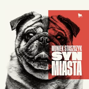 Muniek Staszczyk Syn miasta, LP Muniek Staszczyk - Rock - miniaturka - grafika 1