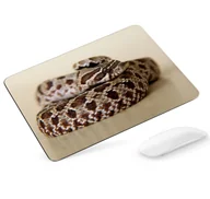 Podkładki pod mysz - Podkładka pod mysz Wąż heterodon - miniaturka - grafika 1