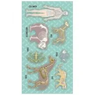 Zabawki kreatywne - Ranok-Creative Naklejki Układy kostne (szkielety) - miniaturka - grafika 1