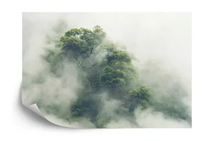 SK Fototapeta Tropical Forest In Japan, Nature Jungle With Green Tree And Fog, Concept Of Zin Therapy Comfortable Freedom Relaxing  emix - Fototapety - miniaturka - grafika 1