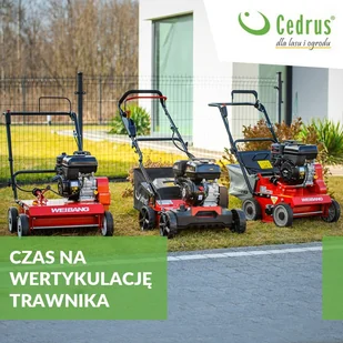 CEDRUS WR01-H 6 KM HONDA GP200 - Wertykulatory i aeratory - miniaturka - grafika 28