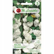 Nasiona i cebule - MALWA OGRODOWA BIAŁA PEŁNA nasiona KWIATÓW ROŚLINY OZDOBNE p. 068338.01.0; - miniaturka - grafika 1
