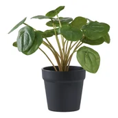 Sztuczne kwiaty - House Nordic Sztuczna roślina Pilea, zielona 28 cm - miniaturka - grafika 1