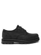 Półbuty męskie - Timberland Półbuty Lace UP Waterproof TB0A69T9W021 Czarny - miniaturka - grafika 1