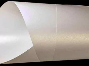 Fedrigoni Czarny, fakturowany 2 str wzór , 120 g, 70x100cm, Cocktail Gin Fizz (250), papier ozdobny 10002001 - Akcesoria do reklamy - miniaturka - grafika 1