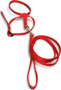 Alizoo Kompret dla gyzoni , smycz i szelki dla królika - ALIZOO - Akcesoria dla gryzoni - miniaturka - grafika 1