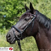 Ogłowia - KIEFFER Ogłowie Magic Tack z magnetycznym naczółkiem - miniaturka - grafika 1