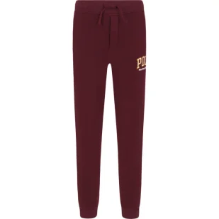 POLO RALPH LAUREN Spodnie dresowe JOGR MOD #7-ATHLETIC | Regular Fit - Spodnie i spodenki dla chłopców - miniaturka - grafika 1