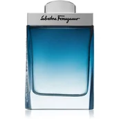 Wody i perfumy męskie - Salvatore Ferragamo Subtil pour Homme Woda toaletowa 100ml - miniaturka - grafika 1