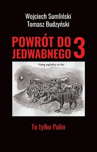 Powrót do Jedwabnego 3 To tylko Polin Nowa - Pedagogika i dydaktyka - miniaturka - grafika 2