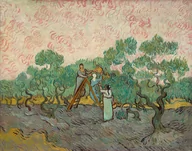 Plakaty - Plakat, Women Picking Olives, Vincent van Gogh, 84,1x59,4 cm - miniaturka - grafika 1