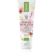Peelingi i scruby do twarzy - Lirene Power Of Plants Róża Peeling drobnoziarnisty 75ml - miniaturka - grafika 1