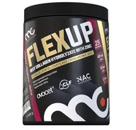 Ochrona stawów - FlexUp, 400 g / 100 porcji - miniaturka - grafika 1