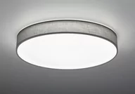 Lampy sufitowe - Trio Oświetlenie LUGANO Lampa Sufitowa LED Siwy, 1-punktowy 621915511 - miniaturka - grafika 1