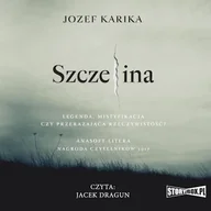 Audiobooki - fantastyka i horror - Szczelina Jozef Karika - miniaturka - grafika 1
