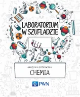 E-booki - nauka - Laboratorium w szufladzie. Chemia - miniaturka - grafika 1