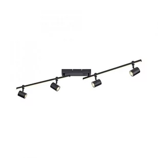 Lampa sufitowa z reflektorem LED 10W BARIK 6525-18 Paul Neuhaus - Lampy sufitowe - miniaturka - grafika 1