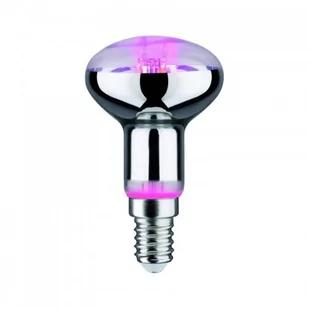Paulmann Lampa do doświetlania kwiatów LED E14 R50 4W - Żarówki LED - miniaturka - grafika 1