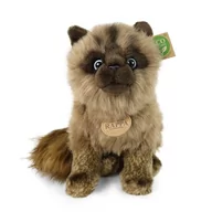 Maskotki i pluszaki - Maskotka EKO Kot Syjamski Kotek Pluszowy 28cm - miniaturka - grafika 1