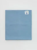 Apaszki i szaliki damskie - Reserved - Bawełniany komin z naszywką - jasnoniebieski - miniaturka - grafika 1