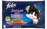 Mokra karma dla kotów - Felix Junior Fantastic w saszetkach, 4 x 85 g - Łosoś i kurczak - miniaturka - grafika 1