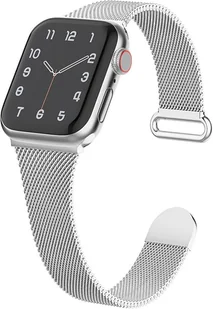 PASEK DO ZEGARKA APPLE WATCH 1/2/3/4/5/6/7/8/9/SE 38/40/41mm SREBRNY STAL - Akcesoria do smartwatchy - miniaturka - grafika 1