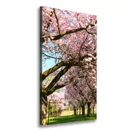Obrazy i zdjęcia na płótnie - Foto obraz canvas pionowy Drzewa wiśni - miniaturka - grafika 1