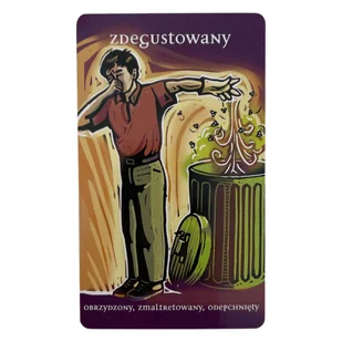 Odcienie emocji, Petra Martin (karty + książeczka) - Wróżbiarstwo i radiestezja - miniaturka - grafika 11