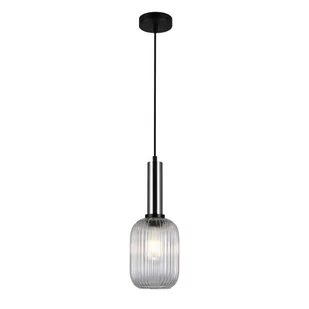 Italux Antiola PND-5588-1M-SC+CL - Lampy sufitowe - miniaturka - grafika 1