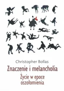 Znaczenie i melancholia Życie w epoce oszołomienia - Książki o kulturze i sztuce - miniaturka - grafika 1