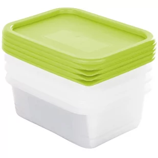 ROTHO Zestaw pojemników Domino 0.5 l 4 sztuki) Zielony 1755105070 - Akcesoria i części AGD - miniaturka - grafika 2