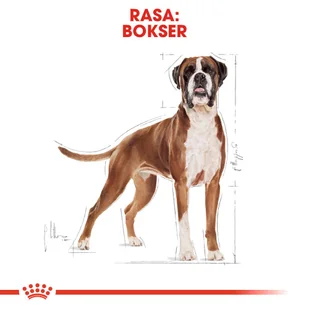 Royal Canin Boxer Junior 12 kg - Sucha karma dla psów - miniaturka - grafika 10