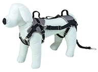 Smycze dla psów - Kerbl 81336 Autosicherheitsgeschirr Travel Protect, Xs, Grau - miniaturka - grafika 1